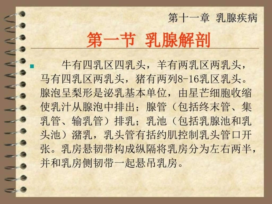 兽医产科学之乳腺疾病_第2页