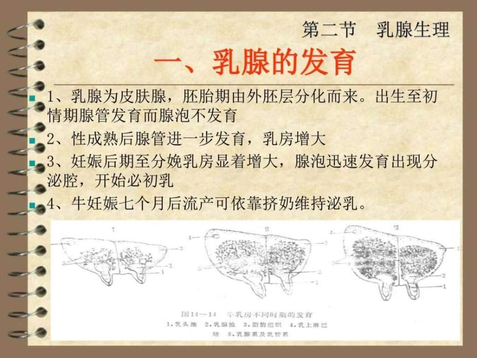 兽医产科学之乳腺疾病_第9页
