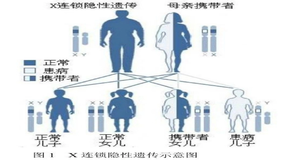 血友病8_第8页