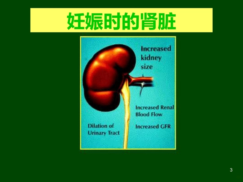 妊娠与肾脏疾病PPT课件_第3页