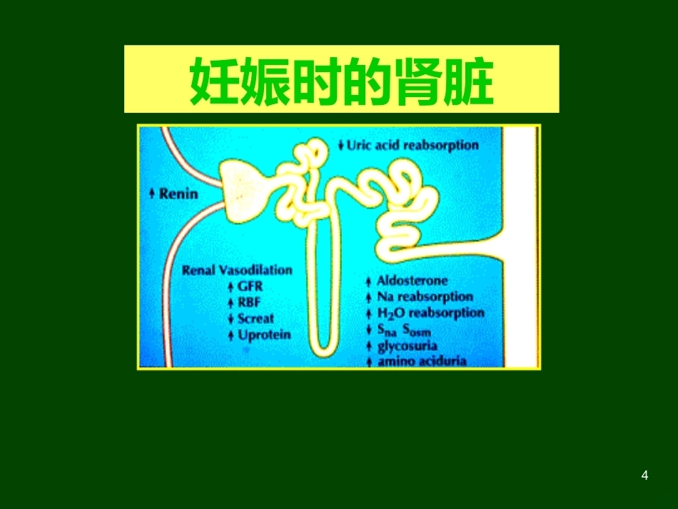 妊娠与肾脏疾病PPT课件_第4页