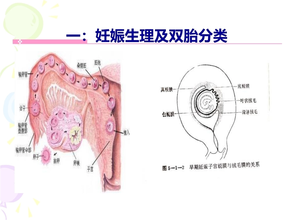 双胎妊娠最新版本_第3页
