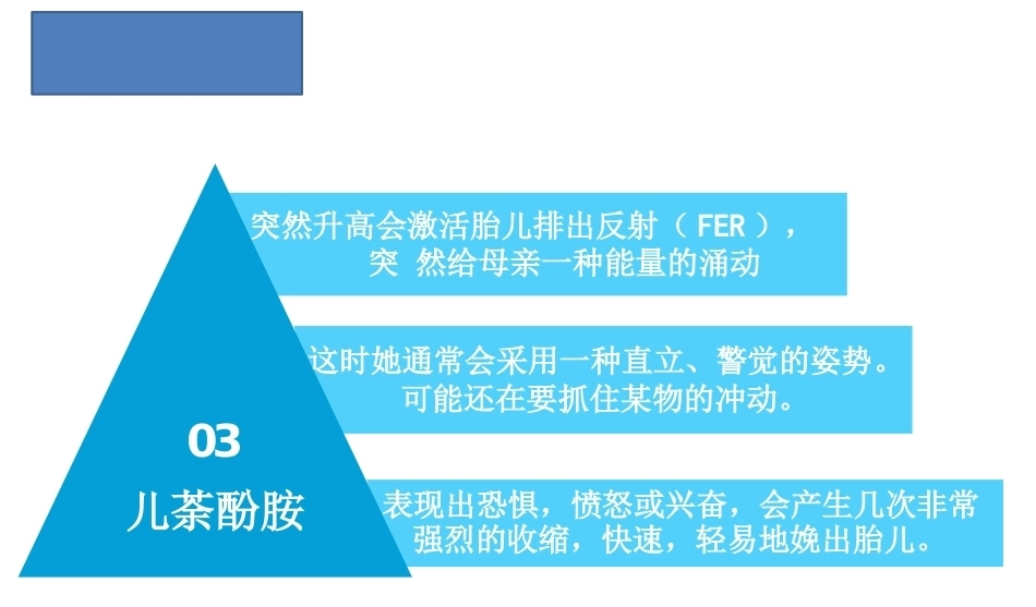 为分娩而造就天然激素围产期护理技术_第11页
