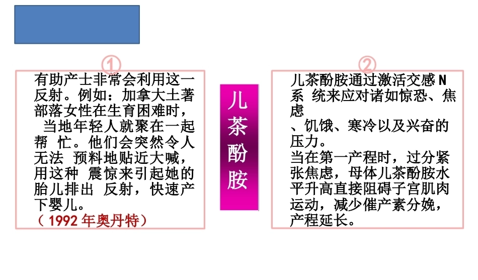 为分娩而造就天然激素围产期护理技术_第13页