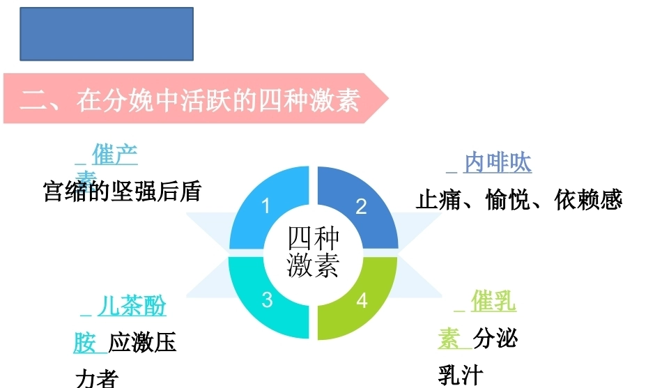 为分娩而造就天然激素围产期护理技术_第6页