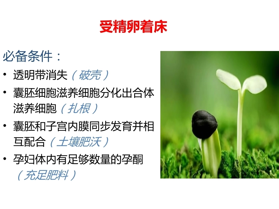 妊娠生理PPT_第12页