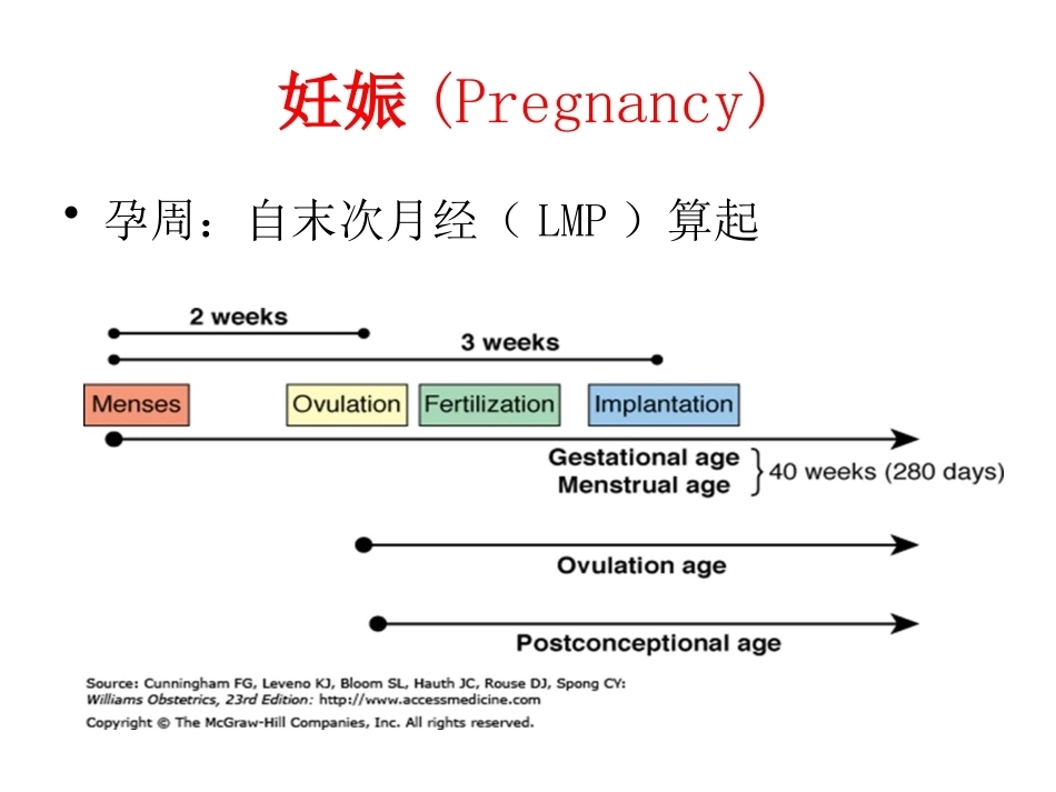 妊娠生理PPT_第4页