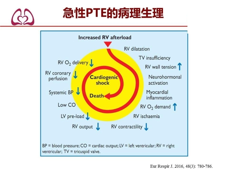 危险分层：如何进行肺栓塞严重程度评估指导决策？_第3页