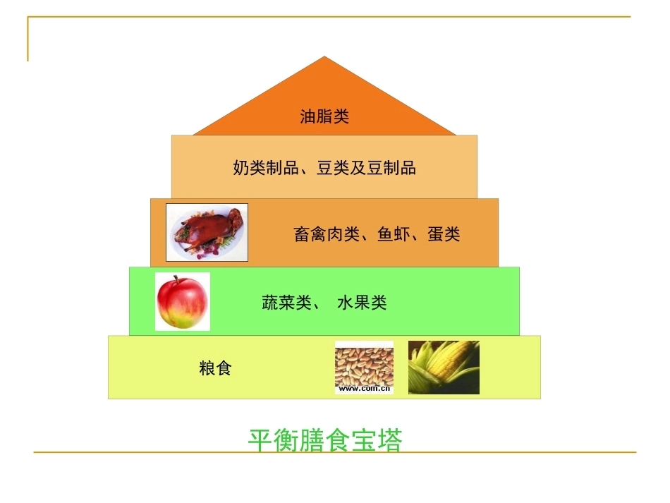 妊娠期饮食_第4页