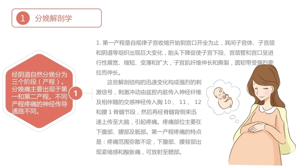 无痛分娩PPT课件_第4页