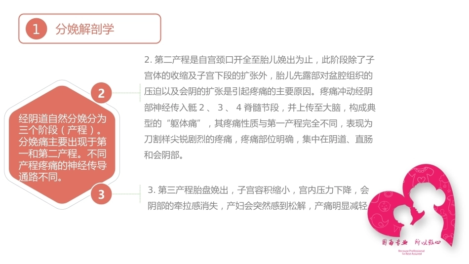 无痛分娩PPT课件_第5页