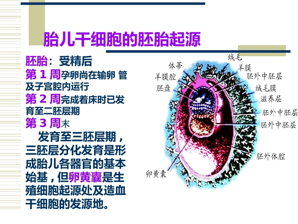 妊娠滋养细胞疾病2_第6页