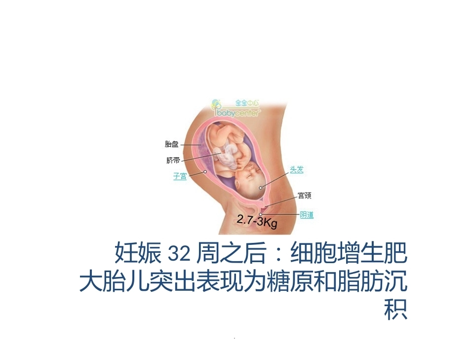 无痛分娩PPT课件-2_第10页