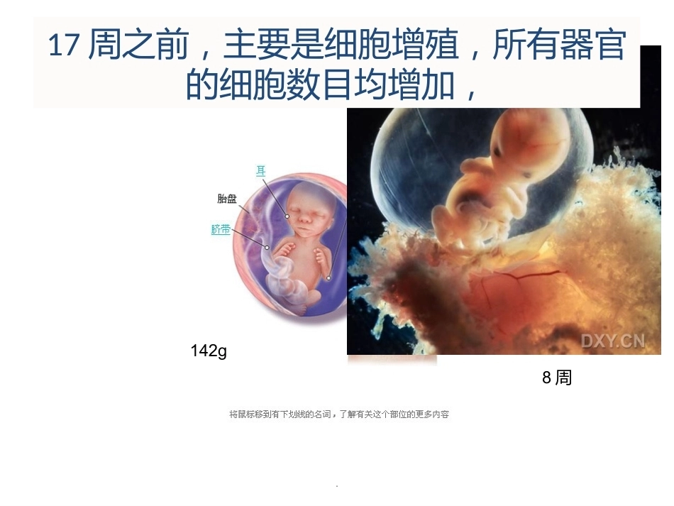 无痛分娩PPT课件-2_第9页