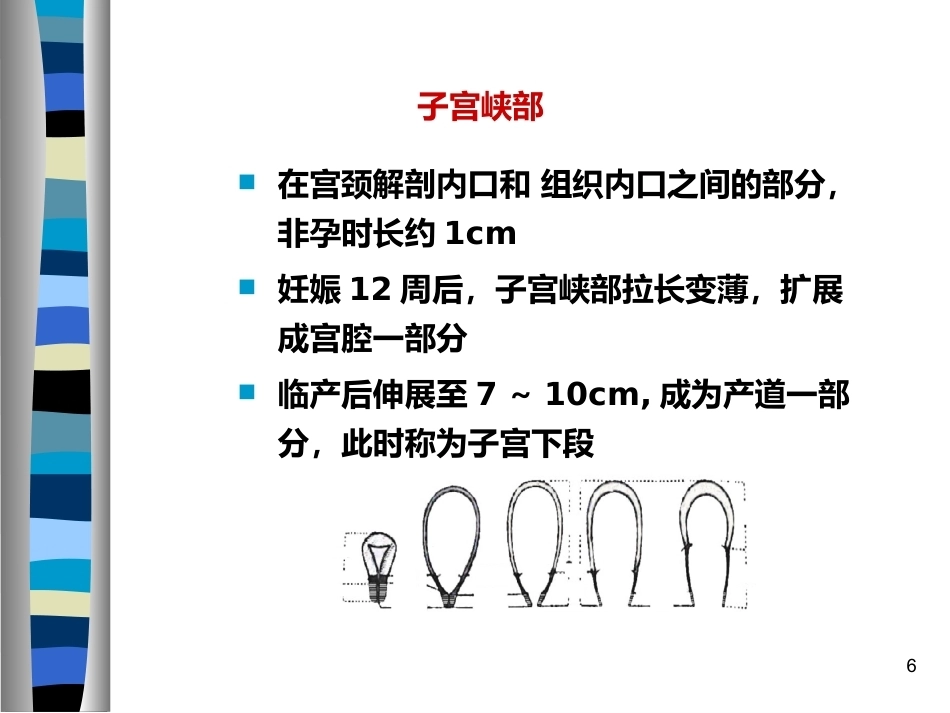 妊娠生理ppt (2)_第6页
