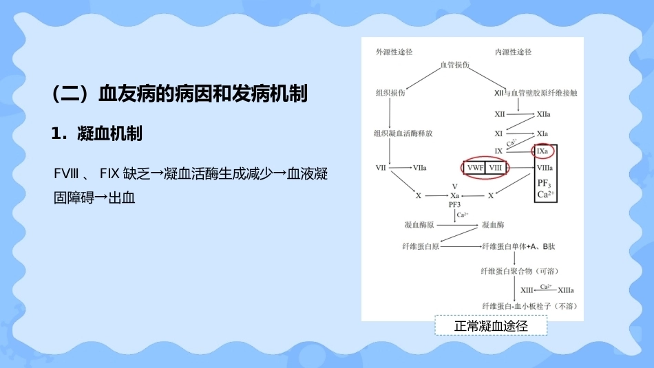 小儿血友病_第4页