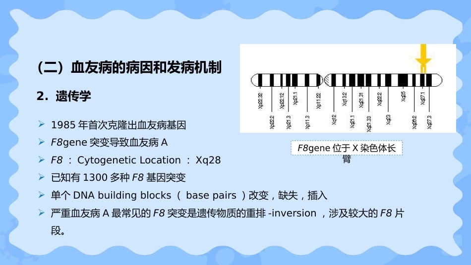 小儿血友病_第5页