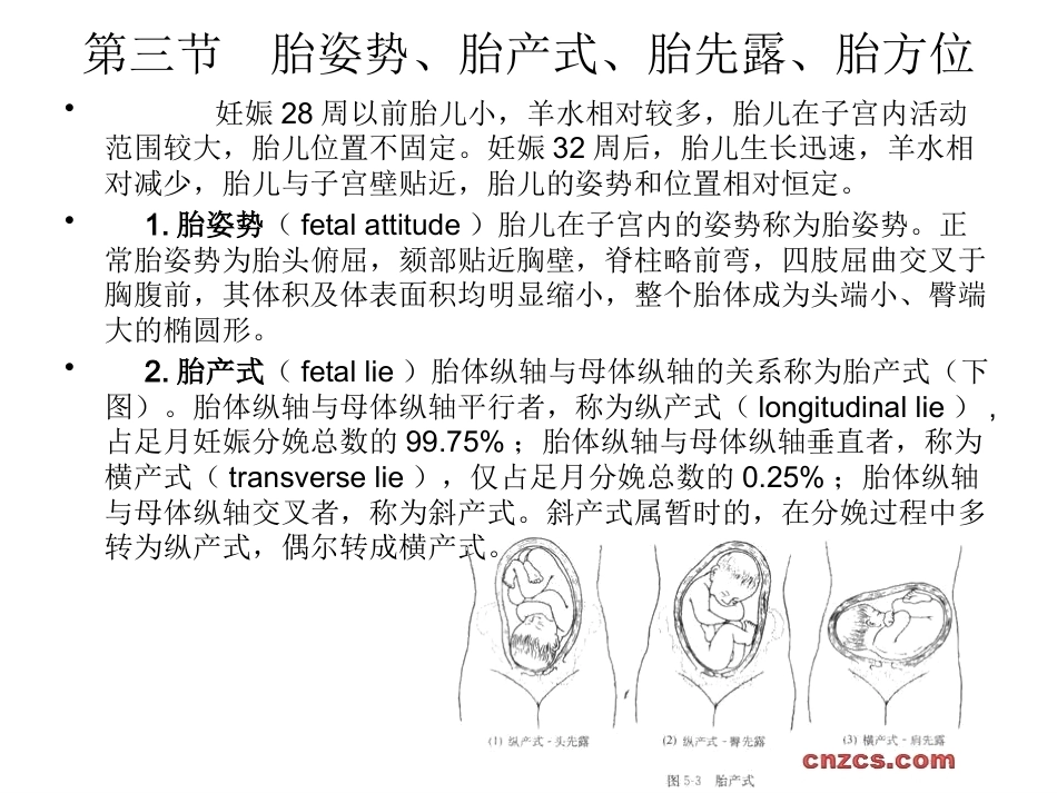 妊娠诊断4_第11页