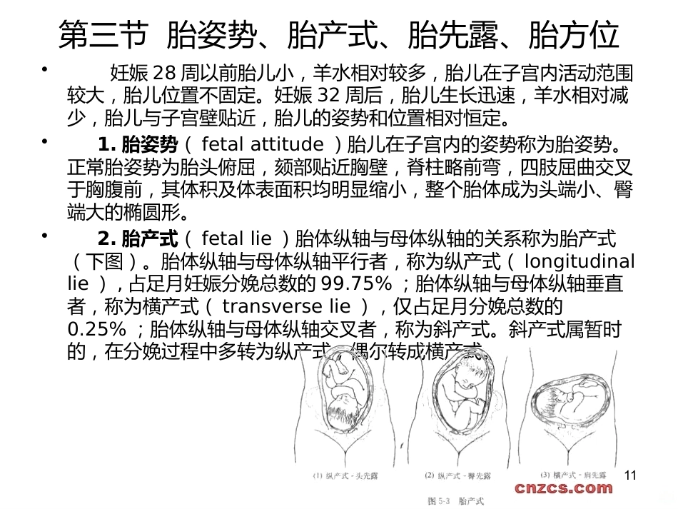 妊娠诊断PPT课件5_第11页