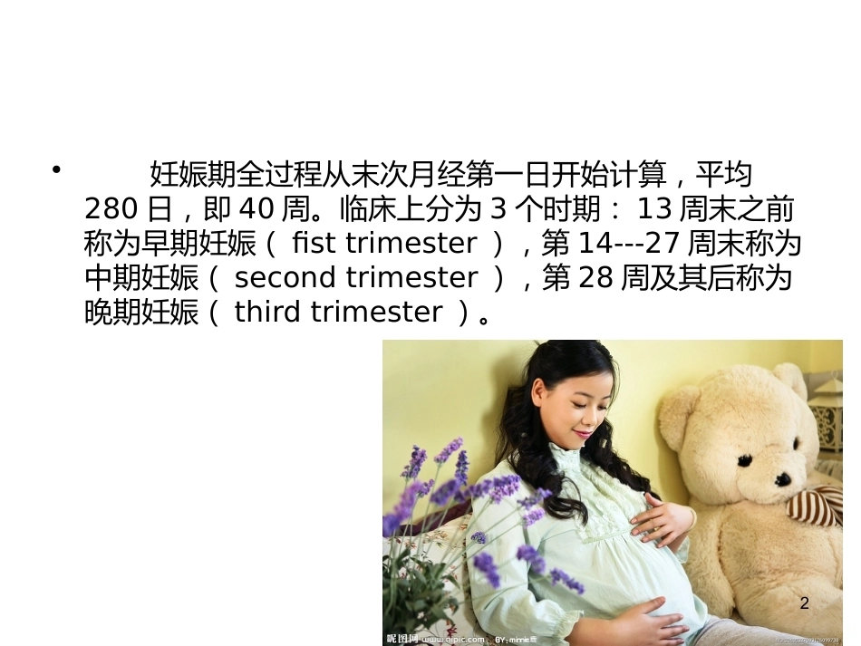 妊娠诊断PPT课件5_第2页
