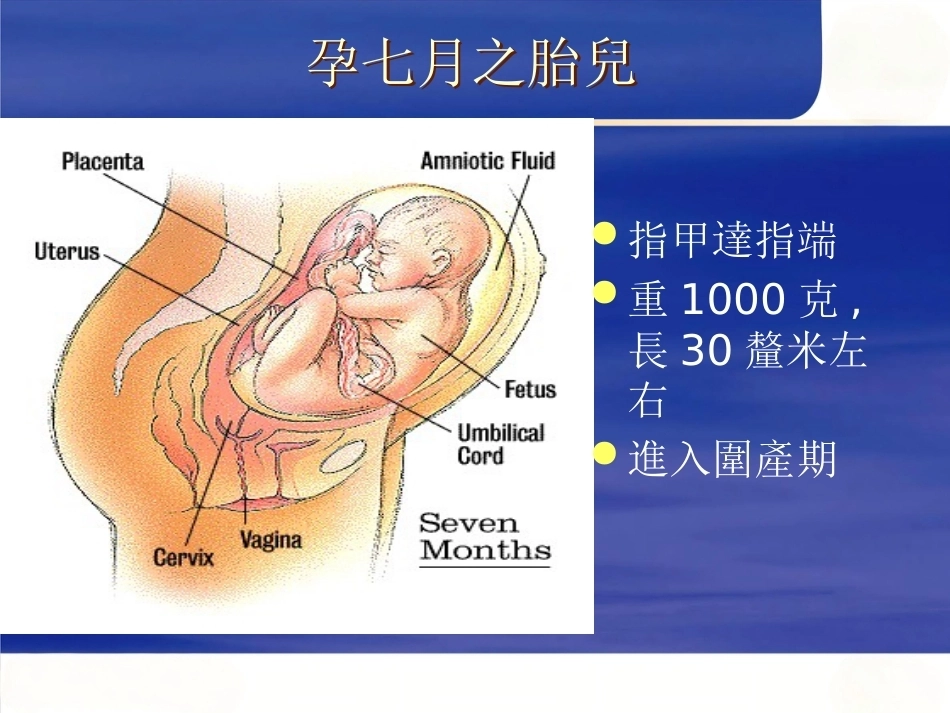 妊娠诊断PPT7_第10页