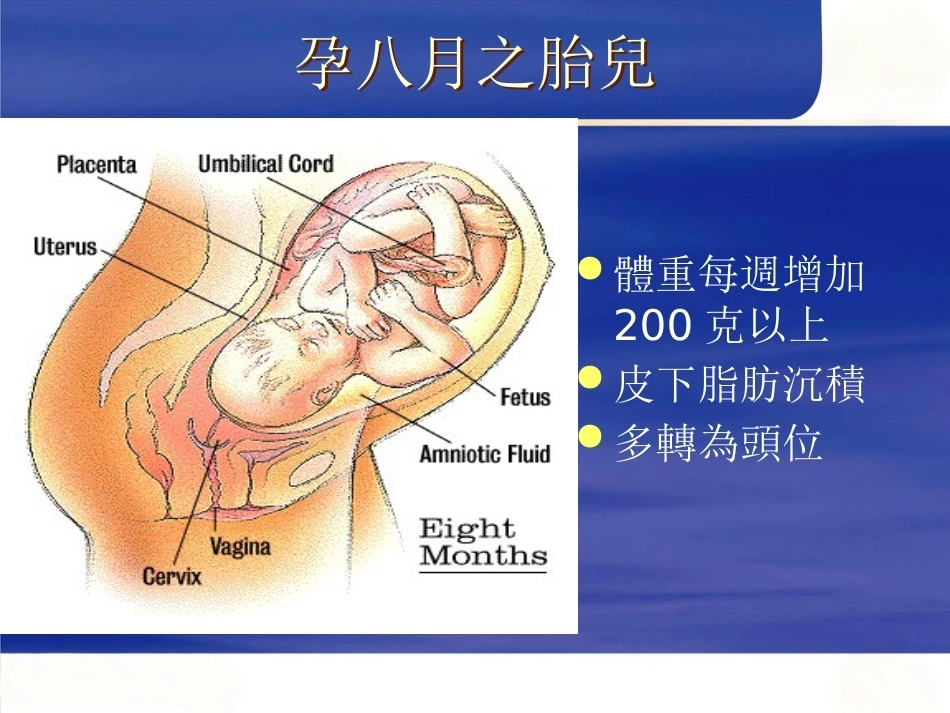 妊娠诊断PPT7_第11页