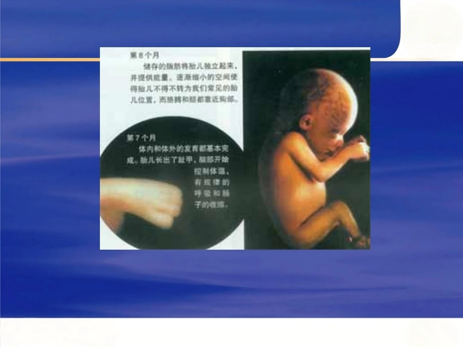 妊娠诊断PPT7_第12页
