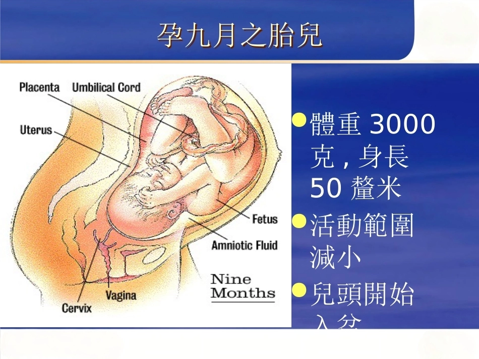 妊娠诊断PPT7_第13页