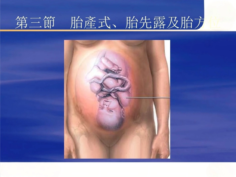 妊娠诊断PPT7_第14页