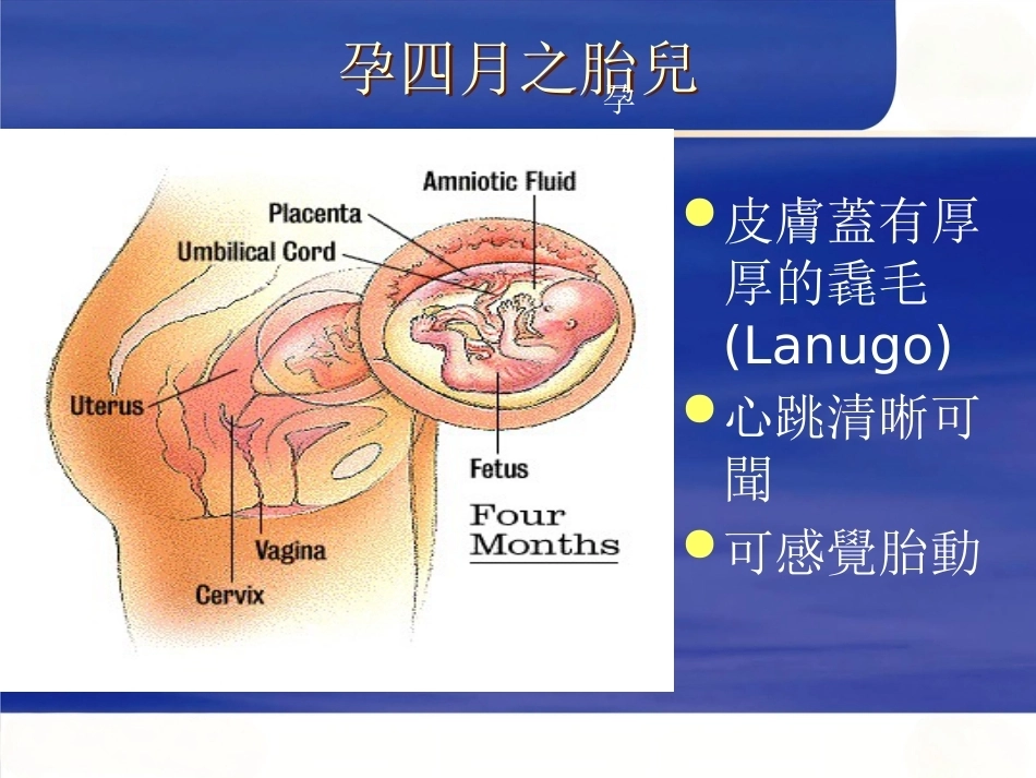 妊娠诊断PPT7_第7页