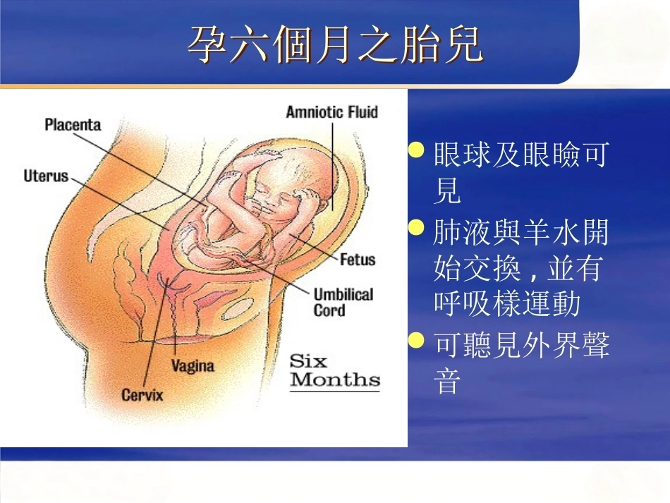 妊娠诊断PPT7_第9页