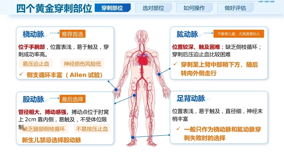 动脉采血实操要点_第5页