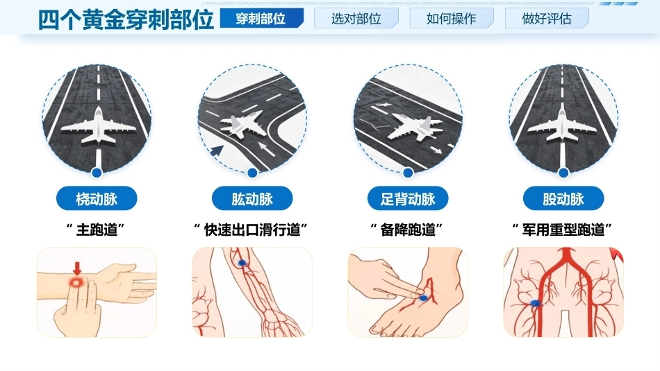 动脉采血实操要点_第6页