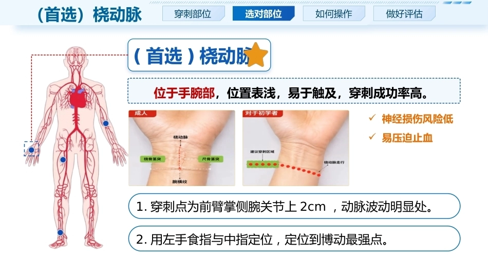 动脉采血实操要点_第7页