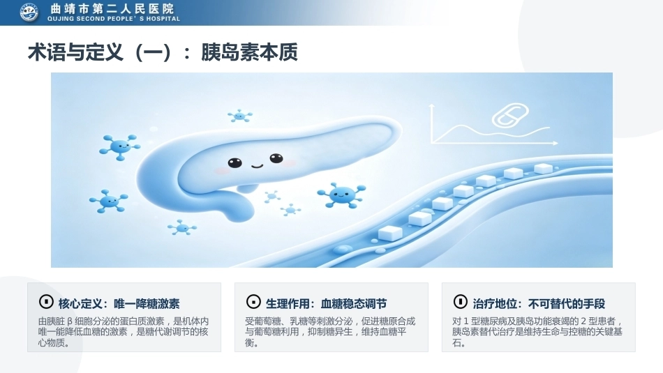 胰岛素皮下注射团体标准解读_第7页