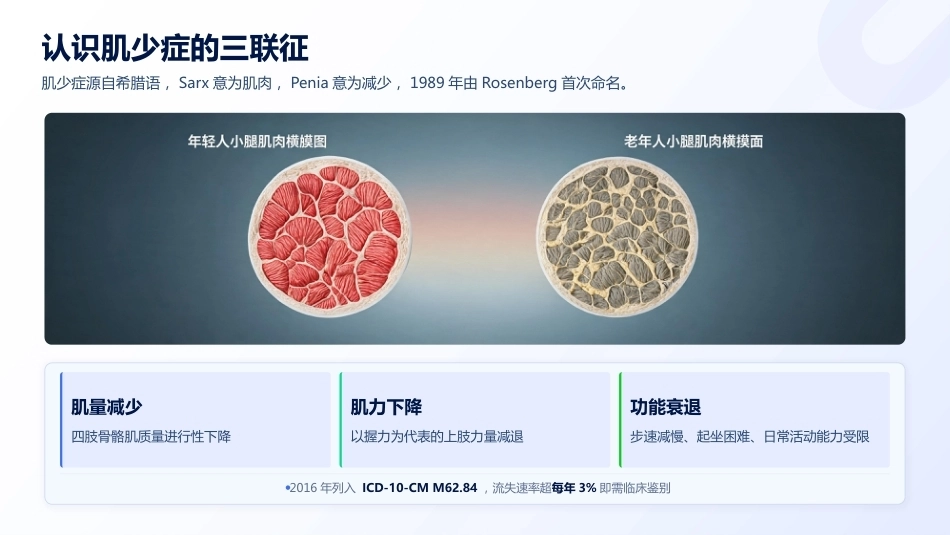 肌少症筛查与老年营养干预方案_第4页