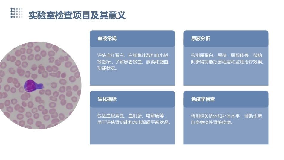 血液净化患者的护理_第12页