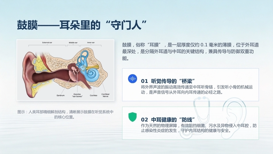 鼓膜穿孔护理全攻略_第4页