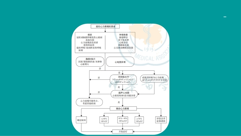 心衰诊断和治疗2024指南ppt（版本2）_第13页
