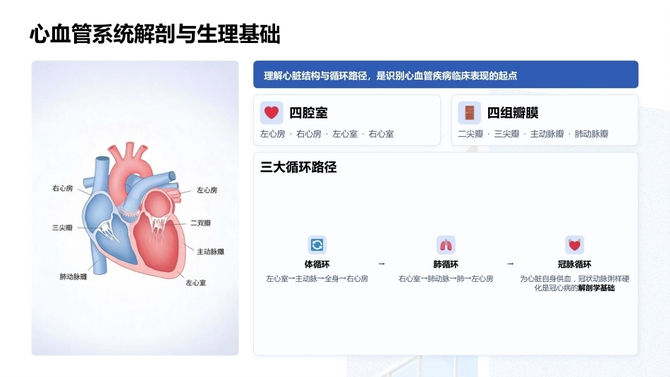心血管专科护士资格培训——2026最新指南与核心能力提升_第12页